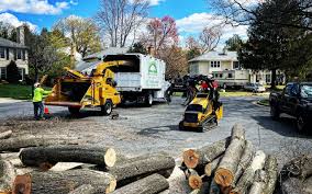Best Root Management and Removal  in Kaumakani, HI