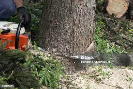 Best Soil Testing and Treatment  in Kaumakani, HI